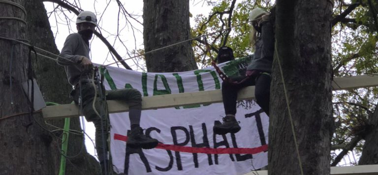 #DanniBleibt Soliaktion im Kölner Volksgarten