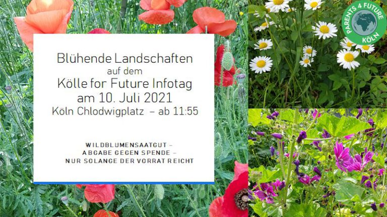 10.07.21 – Parents for Future beim Kölle for Future Klima-Infotag