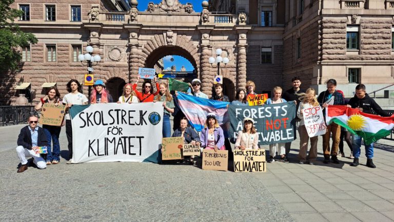 Letzter Schulstreik von Greta Thunberg