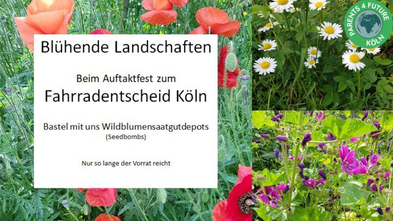 Blühende Landschaften