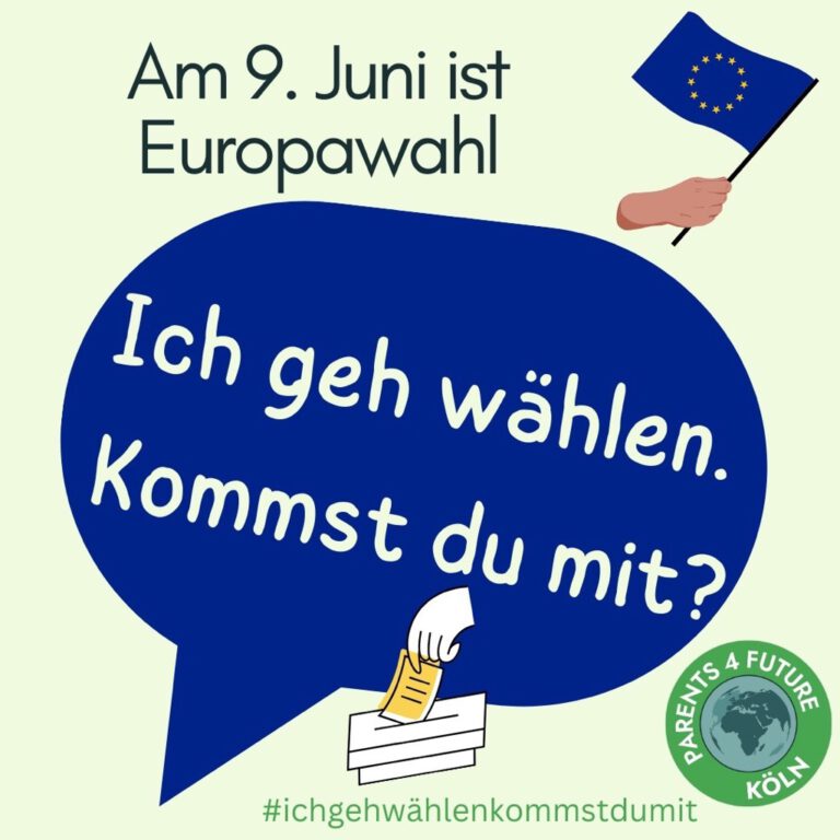 Europawahl 1