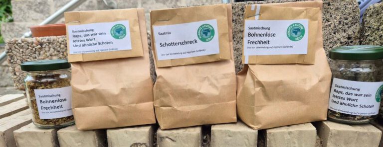 Saatmischung - Seed Bombs