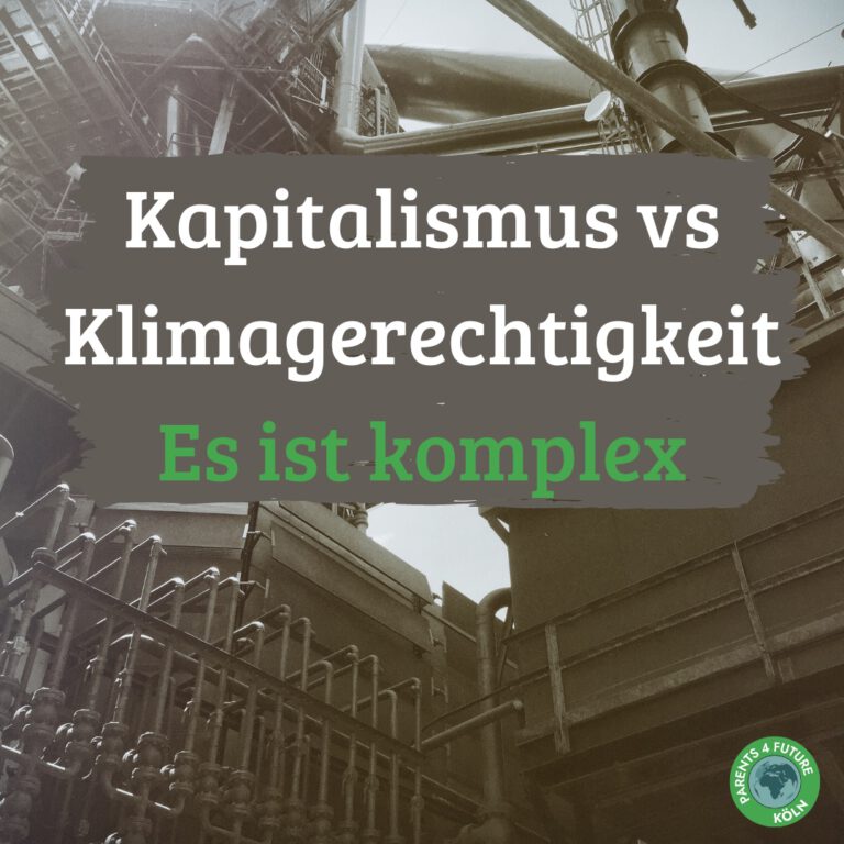Kapitalismus vs Klimagerechtigkeit - Es ist komplex