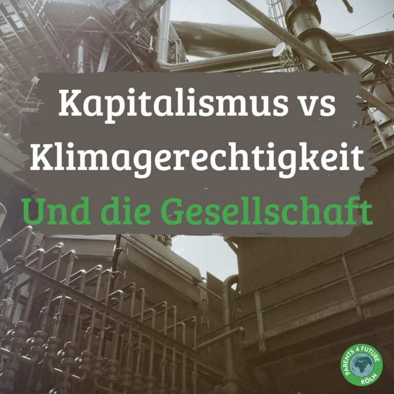 Kapitalismus vs Klimagerechtigkeit und die Gesellschaft