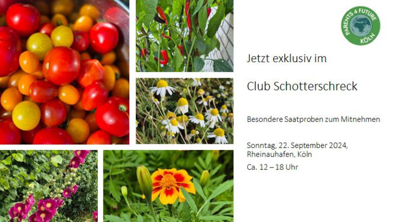 Jetzt exklusiv im Club Schotterschreck - Besondere Saatproben zum Mitnehmen Sonntag, 22.09.24 - Rheinauhafen Köln - 12 bis 18 Uhr Im Bild: Tomaten, Chili, Kamille, Samtblume und Stockrose