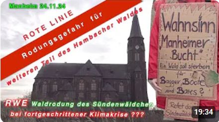 Im Vordergrund steht eine Person in einer roten Jacke, die ein selbstgemachtes Schild mit der Aufschrift "Wahnsinn Manheimer Bucht – Ein Wald soll sterben für Bagger, Boote und Bares?" trägt. Im Hintergrund ist die Kirche von Manheim und ein rotes Banner mit der Aufschrift "Rote Linie – Rodungsgefahr für weiteren Teil des Hambacher Waldes" zu sehen. Unten im Bild steht "RWE Waldrodung des Sündenwäldchens bei fortgeschrittener Klimakrise???" geschrieben.