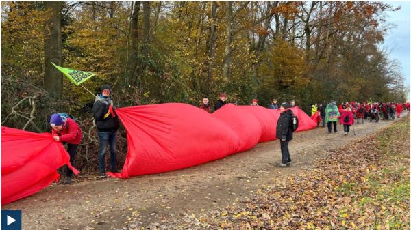 Das Bild zeigt eine Momentaufnahme der roten Linie am Hambacher Wald im November 2024. Eine Gruppe von Menschen hält ein sehr langes, rotes Tuch in einem Wald. Das Tuch ist so lang, dass es sich über den gesamten Bildbereich erstreckt. Die Menschen stehen sowohl vor als auch hinter dem Tuch, einige halten es fest, andere gehen dahinter. Im Hintergrund sind herbstlich gefärbte Bäume zu sehen. Eine Person trägt eine grün-gelbe Fahne. Der Boden ist mit Herbstlaub bedeckt.