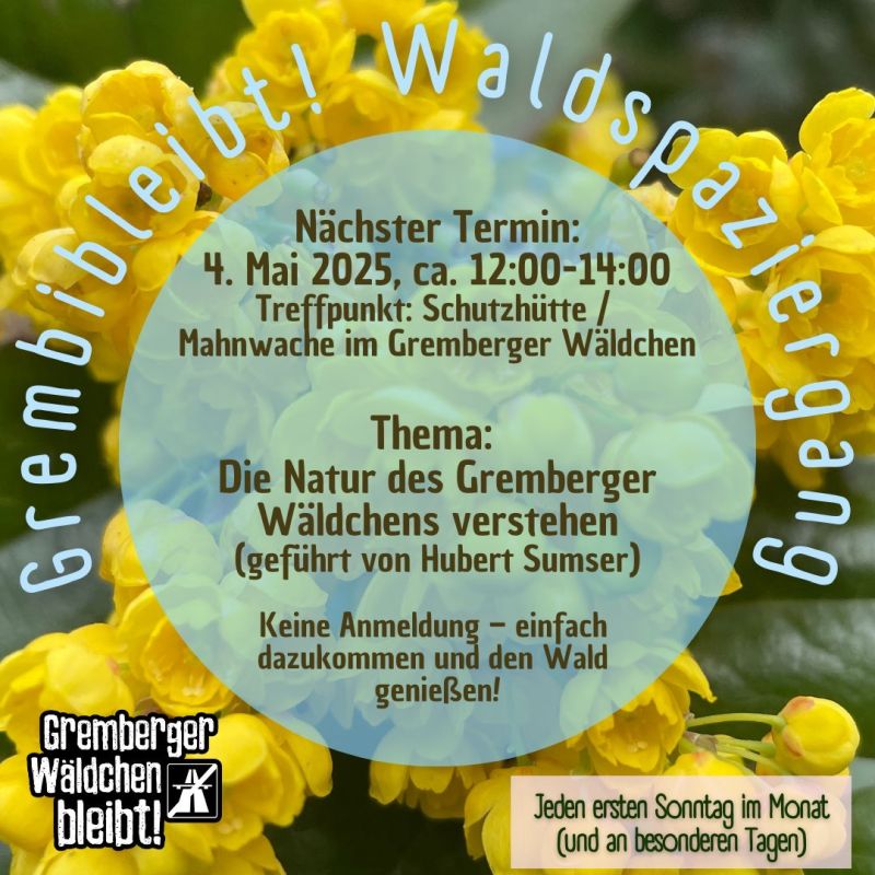 Sharepic für den Waldspaziergang im Gremberger Wäldchen. Im Hintergrund sind gelbe Blüten zu sehen. Der Text im Bild ist in einer blauen Schrift auf einem transparenten Hintergrund platziert und enthält die folgenden Informationen: Grembiebt! Waldspaziergang Nächster Termin: 4. Mai 2025, ca. 12:00-14:00: Treffpunkt: Schutzhütte / Mahnwache im Gremberger Wäldchen Thema: Die Natur des Gremberger Wäldchens verstehen (geführt von Hubert Sumser) Keine Anmeldung – einfach dazukommen und den Wald genießen! Jeden ersten Sonntag im Monat (und an besonderen Tagen): Der Spaziergang findet jeden ersten Sonntag im Monat und an besonderen Tagen statt. Im unteren linken Bereich des Bildes befindet sich ein Logo mit der Aufschrift "Gremberger Wäldchen bleibt!" und einem durchgestrichenen Autobahnschild