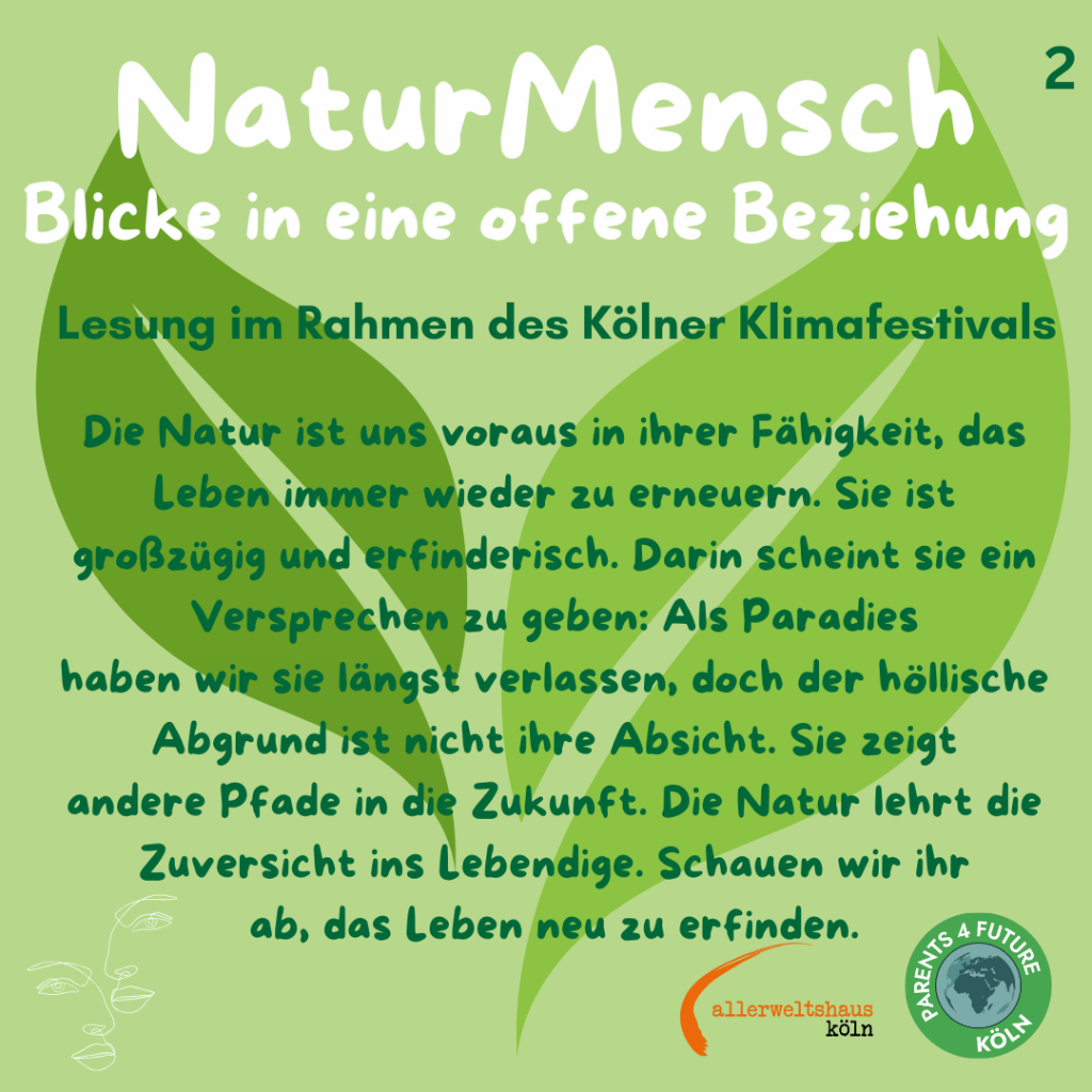 Das Bild zeigt ein grünes Plakat mit dem Titel "NaturMensch" und dem Untertitel "Blicke in eine offene Beziehung". Es kündigt eine Lesung im Rahmen der Kölner Klimawoche an. Der Hintergrund ist in verschiedenen Grüntönen gehalten und zeigt eine große Blattform, die die Natur symbolisiert. Der Text lautet: "Die Natur ist uns voraus in ihrer Fähigkeit, das Leben immer wieder zu erneuern. Sie ist großzügig und erfinderisch. Darin scheint sie ein Versprechen zu geben: Als Paradies haben wir sie längst verlassen, doch der höllische Abgrund ist nicht ihre Absicht. Sie zeigt andere Pfade in die Zukunft. Die Natur lehrt die Zuversicht am Lebendigen. Schauen wir ihr ab, das Leben neu zu erfinden." Im unteren rechten Bereich befindet sich ein Logo mit der Aufschrift "Parents 4 Future Köln".