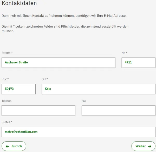 Formular zur Eingabe von Kontaktdaten mit Feldern für Straße, PLZ, Ort, Telefon, Fax und E-Mail. Die Pflichtfelder sind beispielhaft ausgefüllt. Im Unteren Bereich sind Schaltflächen für 'Zurück' und 'Weiter'.