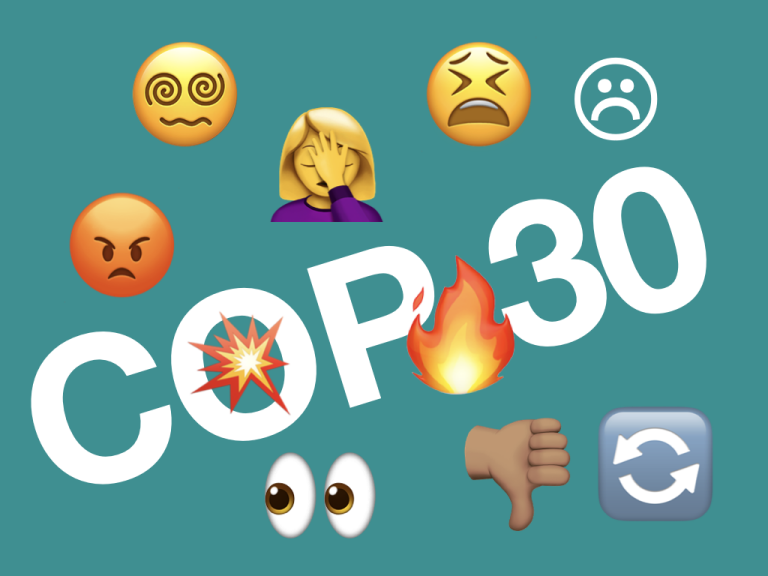 Die große Enttäuschung